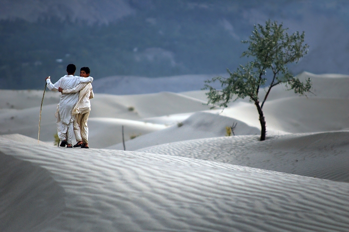 desert friends by Boris Michalicek