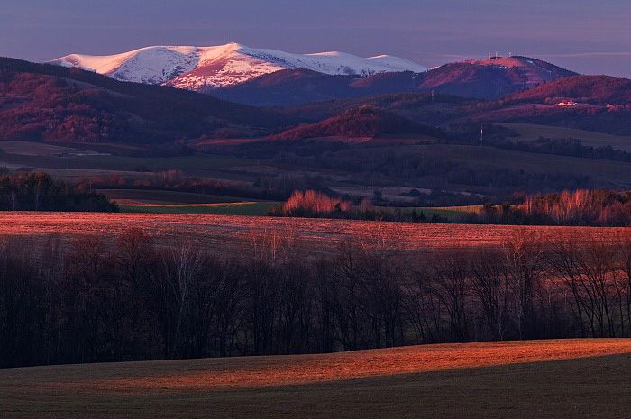 Obrázek