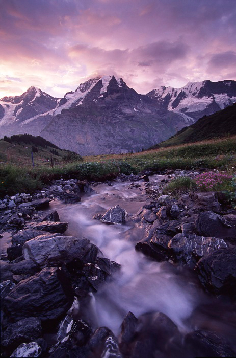 Alpine Morning