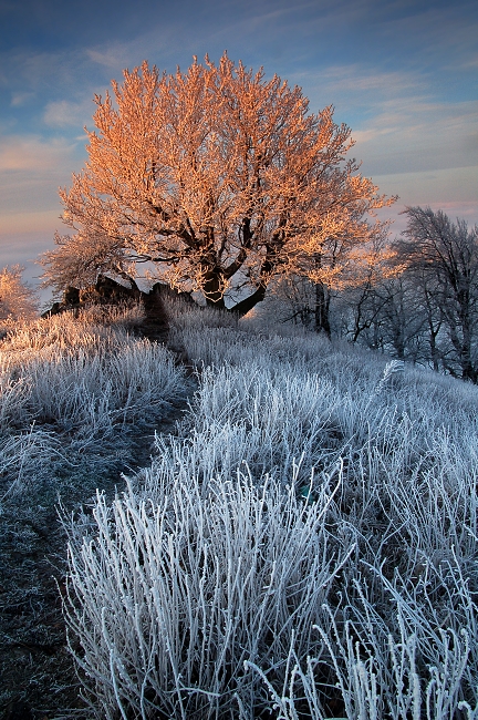 Carpathian mornings