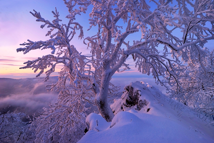 Colors of winter