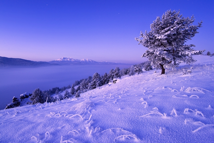 Deep frost