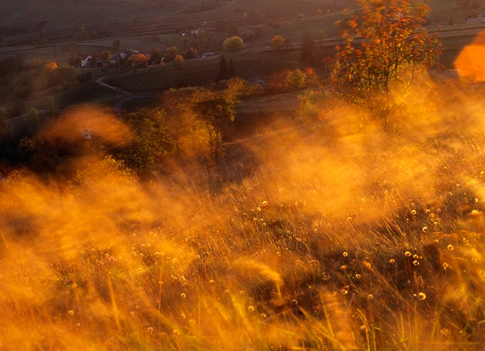 Landscape in Motion