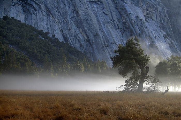 Morning in Yosemites