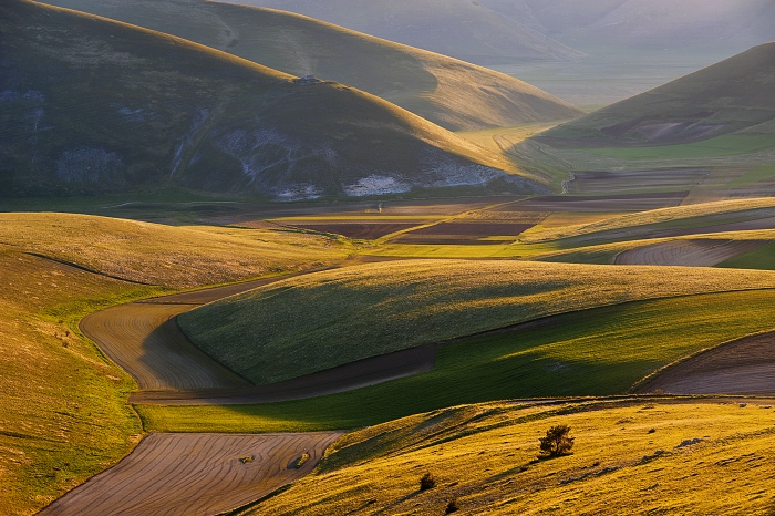 Valley of fields