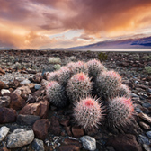 Death Valley