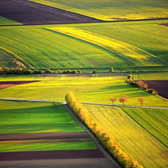 Spring fields