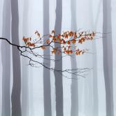 Random landscape photo - Waiting for Winter