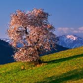 Random landscape photo - Bride of Mountains