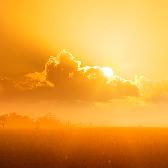 Random landscape photo - Into the Light