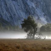 Random landscape photo - Morning in Yosemites