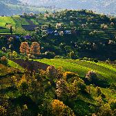Random landscape photo - Mountain Fields