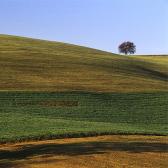 Random landscape photo - On the Wave