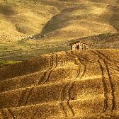 Random landscape photo - Tuscany Lines