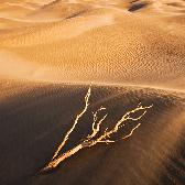 Random landscape photo - Windstorm
