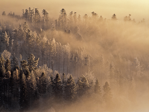 Spisska Magura (Slovensko)
