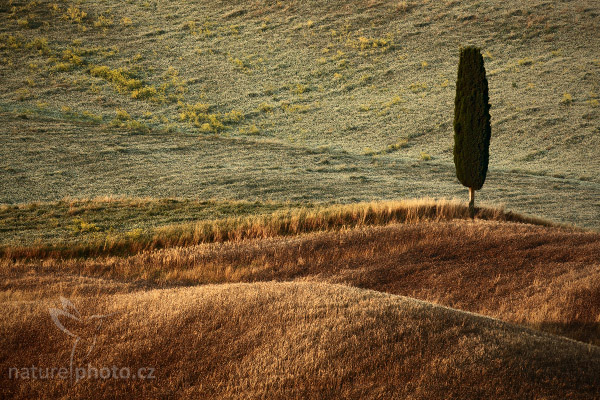 Tuscany